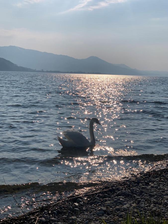 Strandhotel Schmerikon Kültér fotó