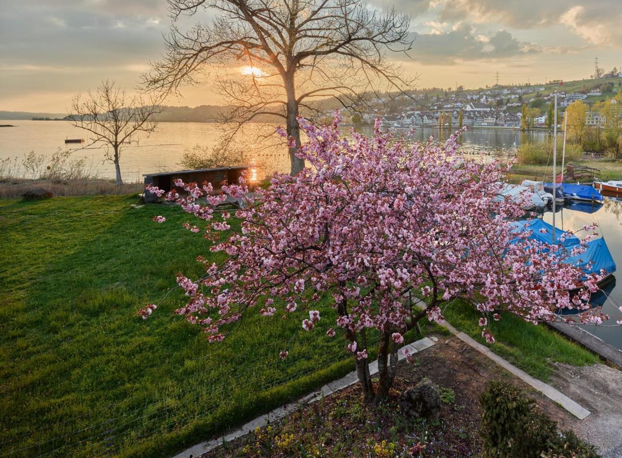Strandhotel Schmerikon Kültér fotó